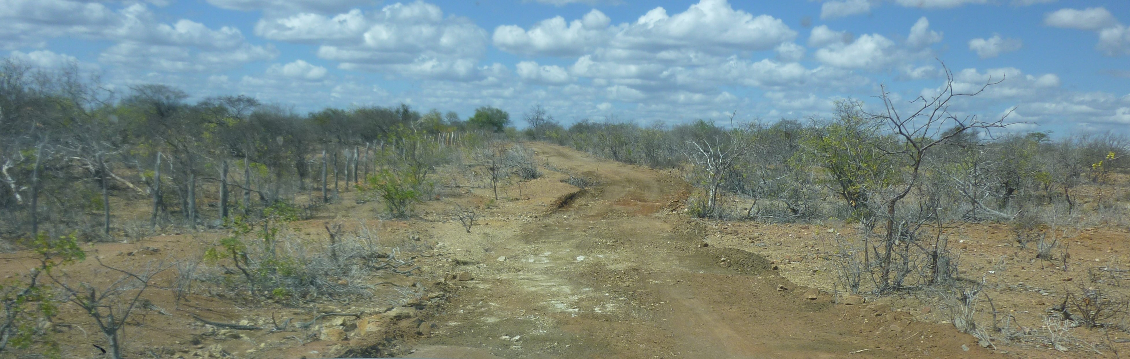 Wege durch die Caatinga